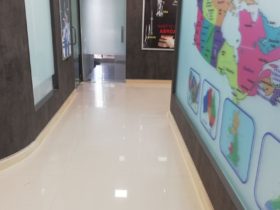 Future Link Consultants Manjalpur Branch Office Corridor